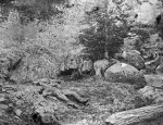 Dead Confederates soldiers in the \"slaughter pen\" at the Battle of Gettybsurg in 1863